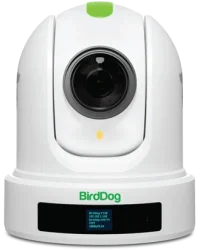 BirdDog P110 NDI Streaming Camera