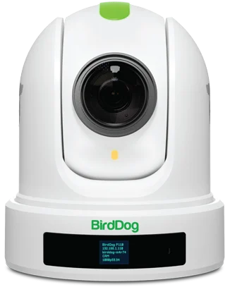 BirdDog P110 NDI Streaming Camera