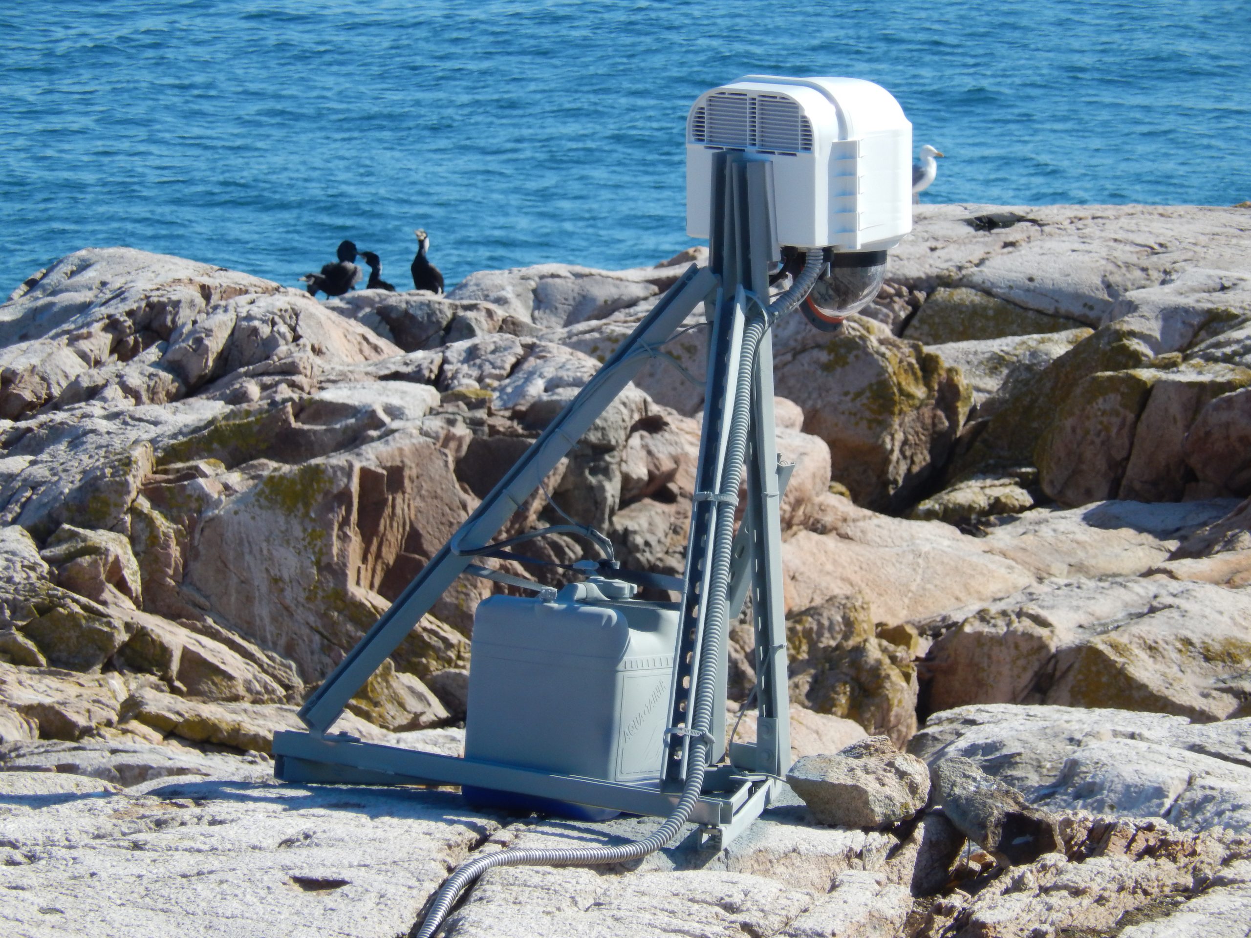 XClear Self Cleaning Enclosure System Installed on Seal Island overlooking a Cormorant colony of birds for observation. 